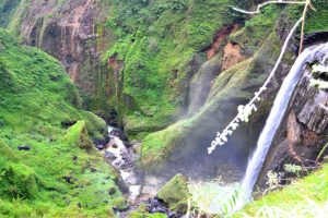 ????????????????????????????????????